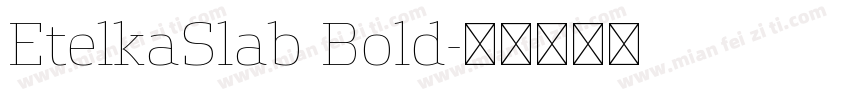 EtelkaSlab Bold字体转换